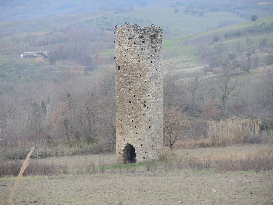Ein hoher, verwitterter Steinturm mit zahlreichen Öffnungen, umgeben von einer ländlichen Landschaft mit vereinzelten Bäumen und einem entfernten Gebäude.