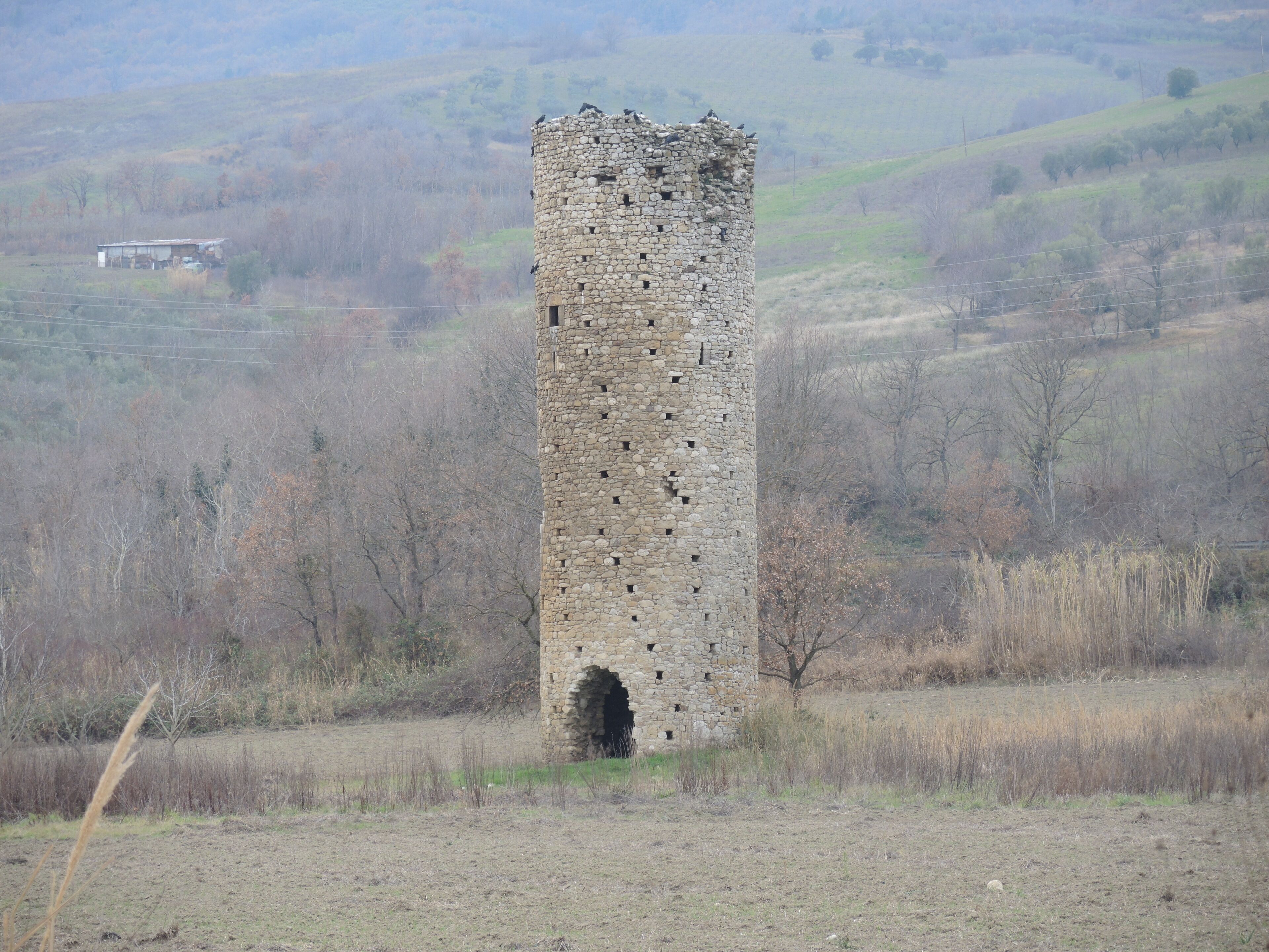 A tall, weathered stone tower with multiple openings, surrounded by a rural landscape with sparse trees and a distant building.