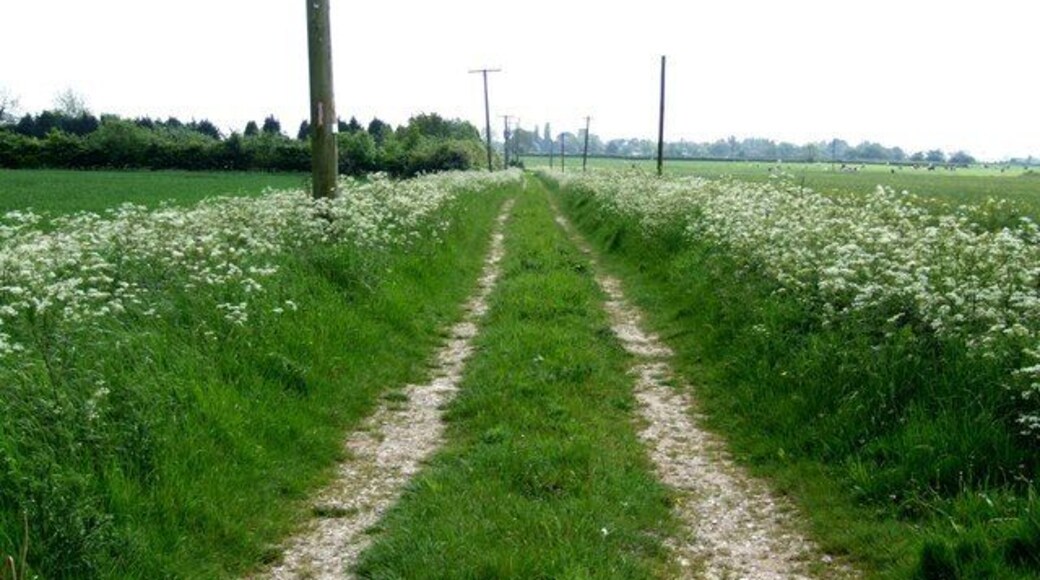 Limes Farm Road, Stickford Looking towards Stickford church.