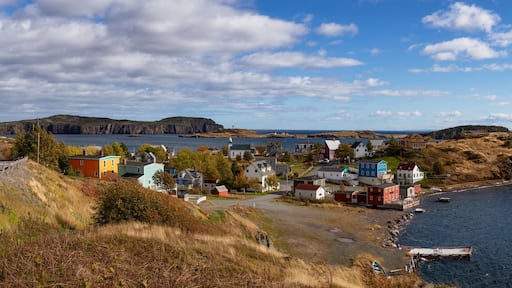 Aerial panoramic view of a small town on the Atlantic Ocean Coast during a sunny day. Taken in Trinity, Newfoundland and Labrador, Canada.