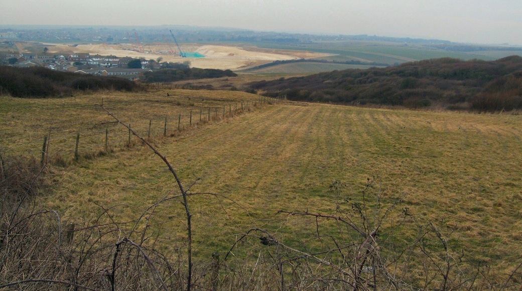 Fields between Newhaven and Peacehaven viewed from the A259 Brighton Road