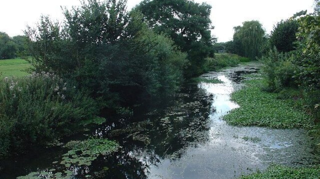 River Mole, East Molesey. The River Mole meanders behind houses in East Molesey, north of the Island Barn reservoir