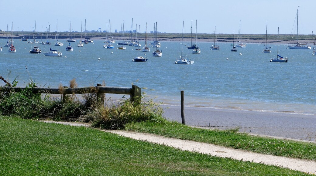 The river from the park - August 2012