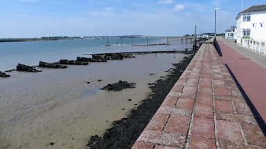 River Bank - August 2012