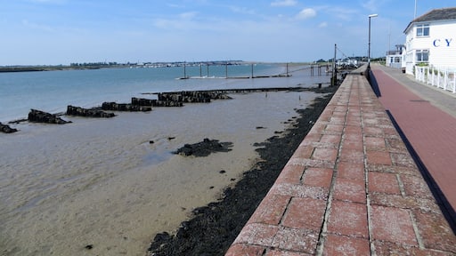 River Bank - August 2012