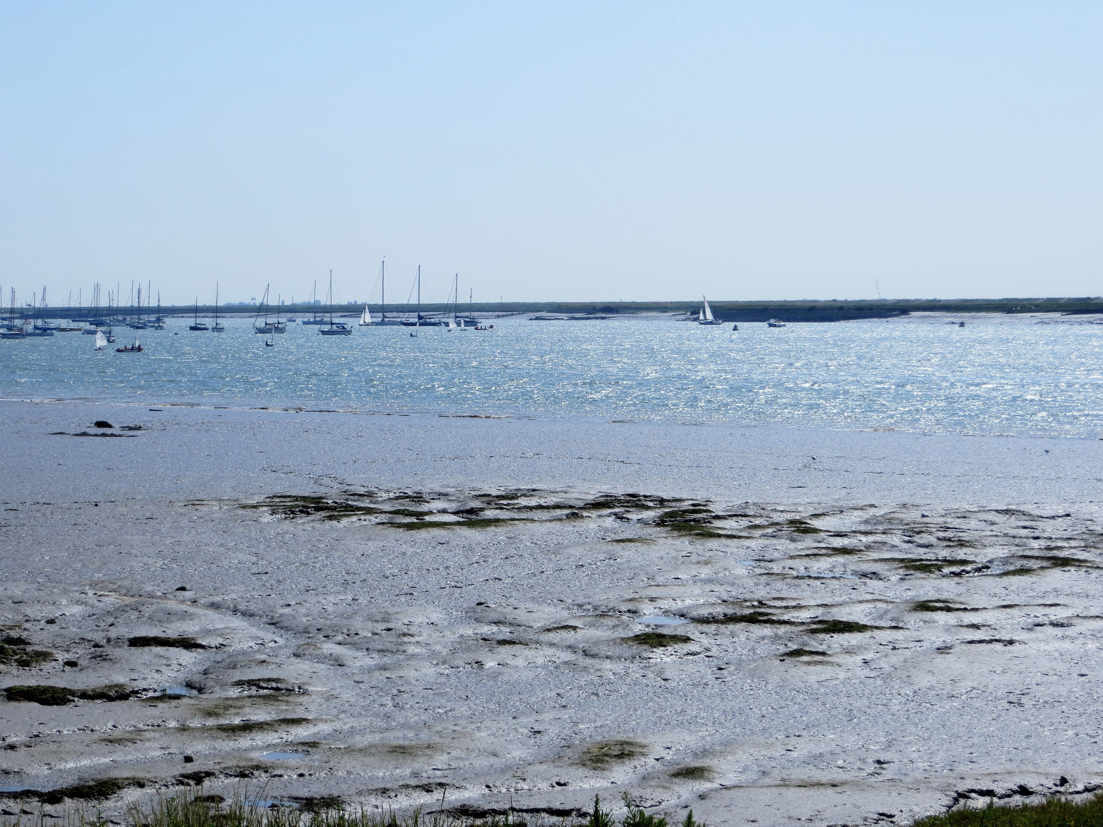 Mud and more mud - August 2012