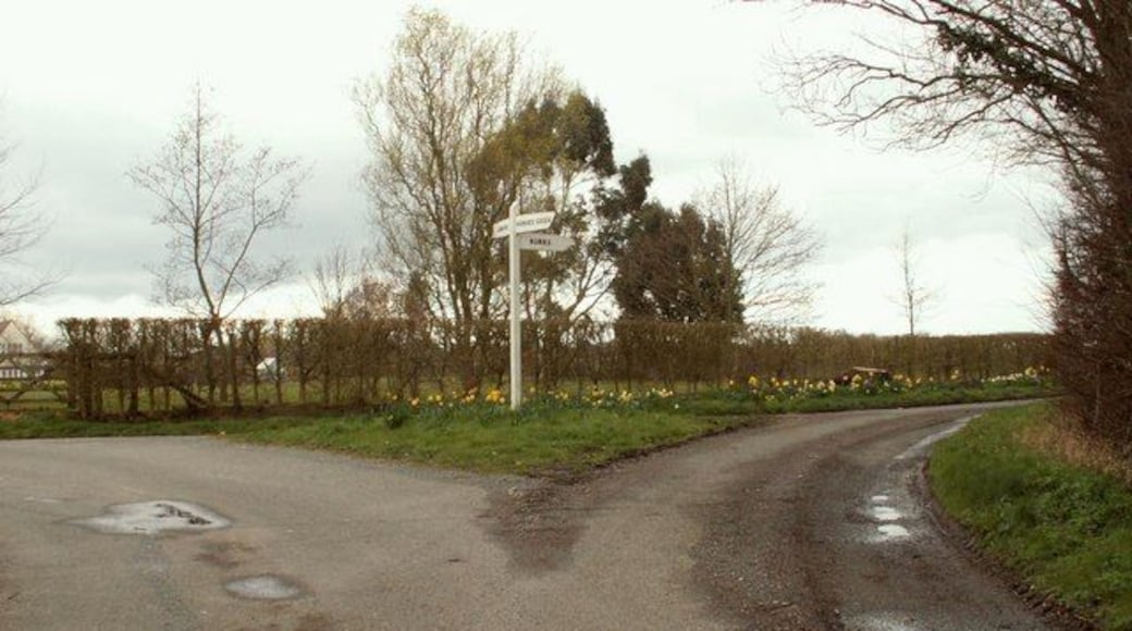 Road junction, just south of Lamarsh