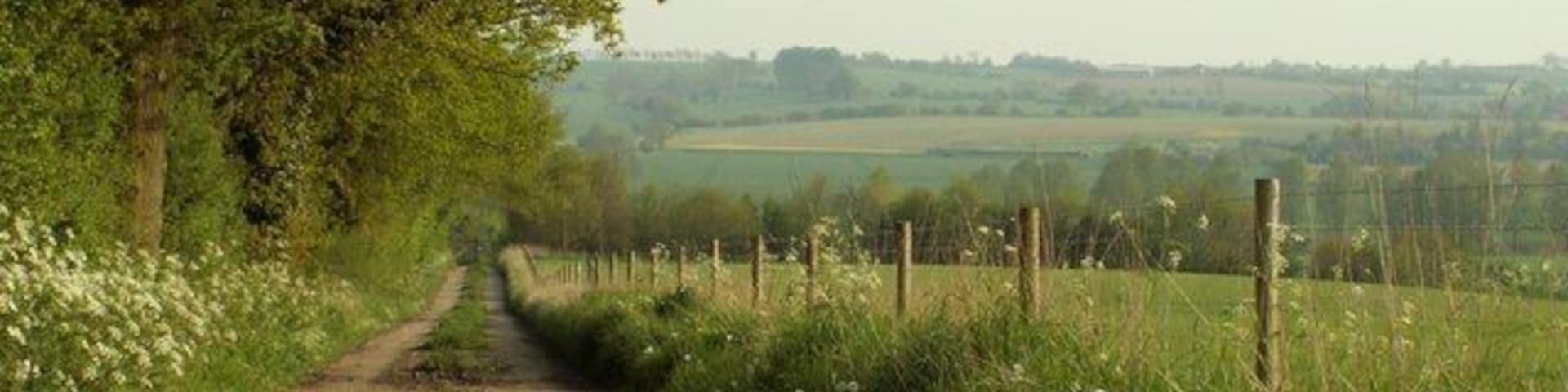 A road leading to sewage works