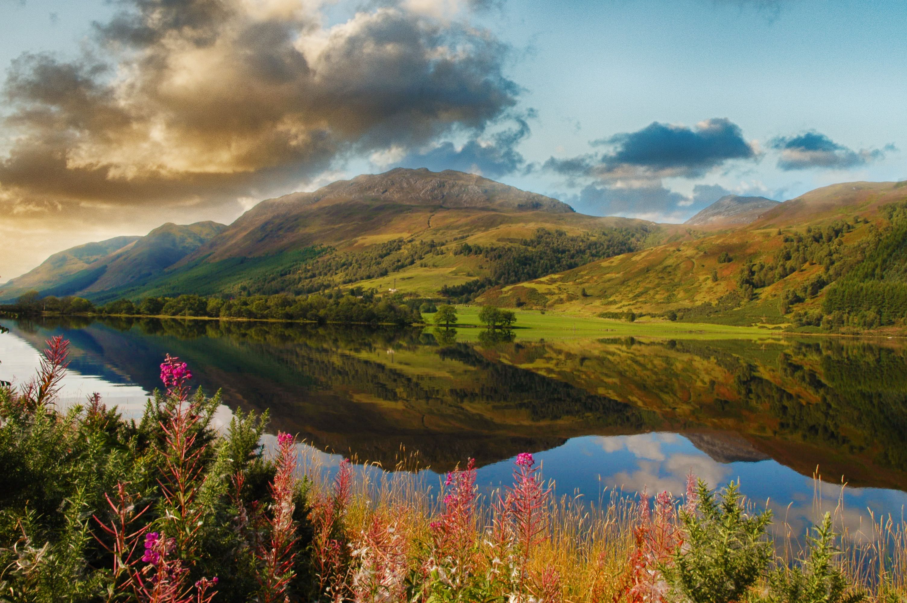epic scenic loch in the scottish highlands. beautiful landscape from scotland with mountains, flowers and a loch with water reflections