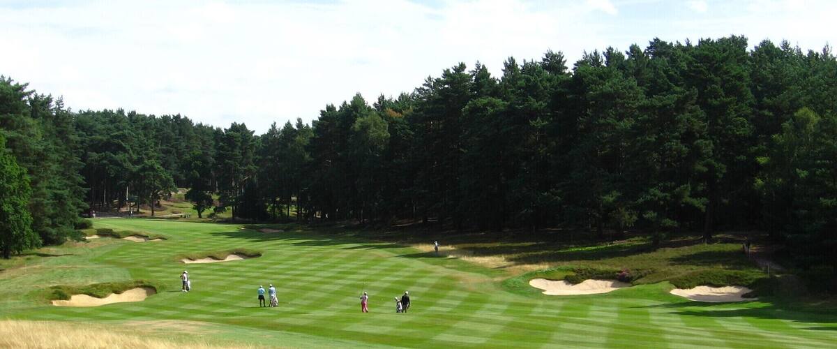 Fairway of the 10th hole as seen towards the green. 2008 WBO at Sunningdale, practice round.