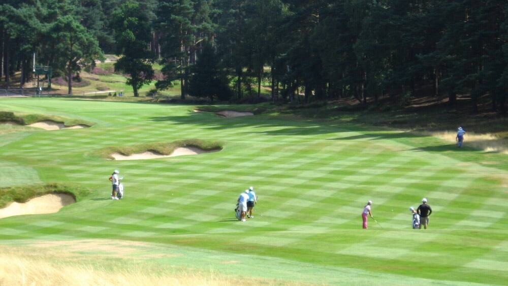 A golf course with sand bunkers, a putting green, and a forest in the background.