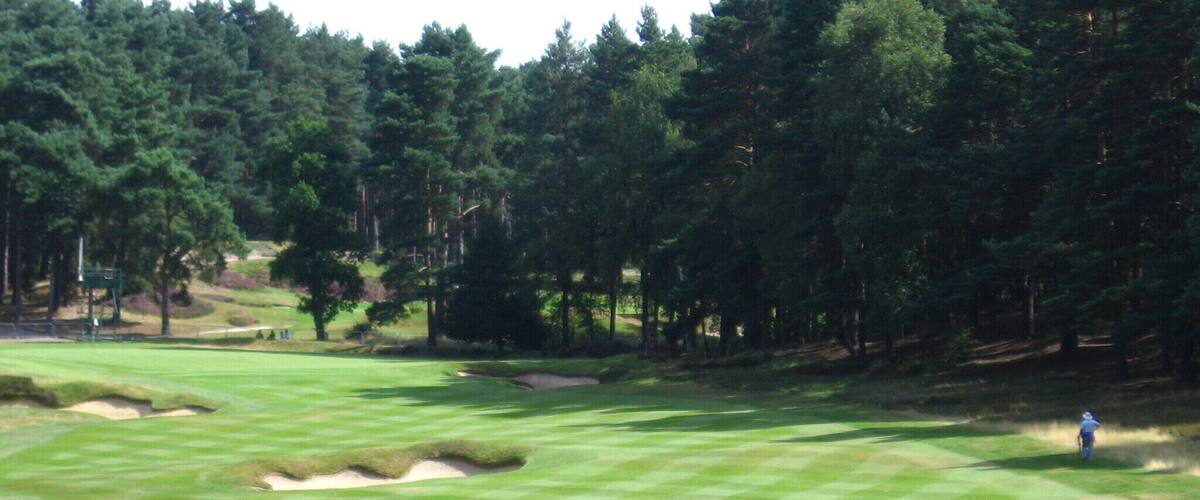 A golf course with sand bunkers, a putting green, and a forest in the background.