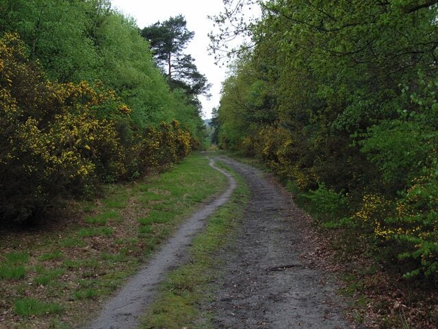 Brentmoor Heath, Westend Common. Track running parallel to Red Road, the B311.