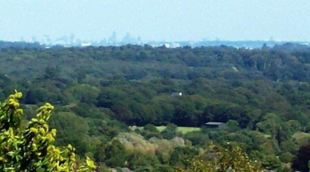 The London Skyline This view was taken from the summit of White Hill and the tower buildings forming the London skyline can be clearly seen. I believe Canary Wharf is the complex on the right.