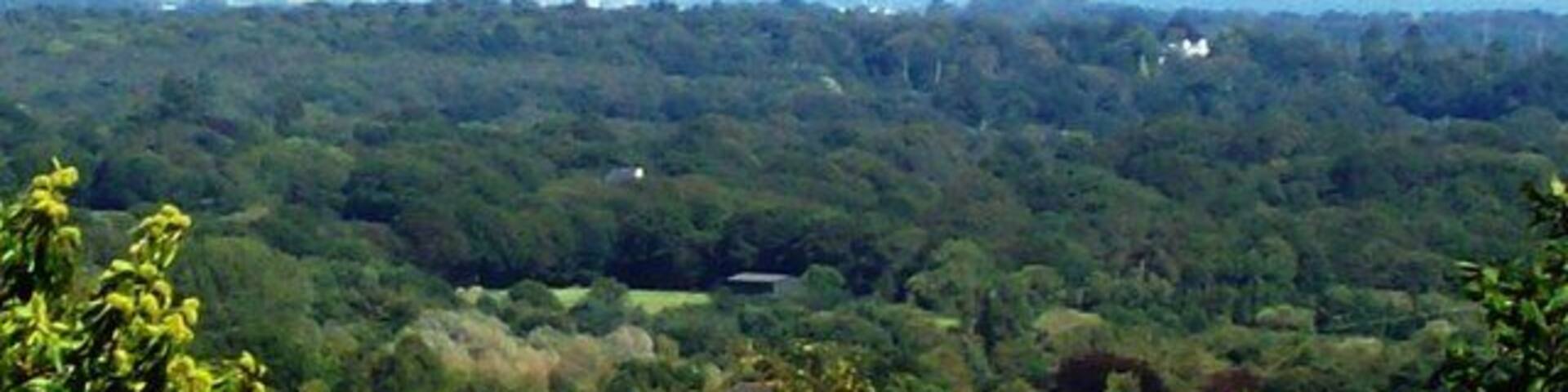The London Skyline This view was taken from the summit of White Hill and the tower buildings forming the London skyline can be clearly seen. I believe Canary Wharf is the complex on the right.