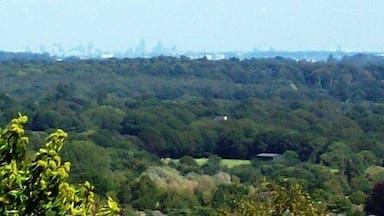 The London Skyline This view was taken from the summit of White Hill and the tower buildings forming the London skyline can be clearly seen. I believe Canary Wharf is the complex on the right.