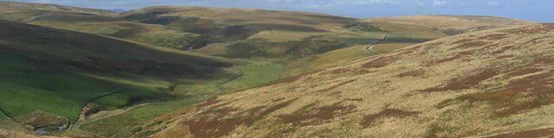 Blackhope Water. Moorland and a strip of improved grazing alongside the Blackhope Water, in the Moorfoot Hills. Taken from Whiteside Law, this shows a large chunk of the western part of the square. Looking northwards.