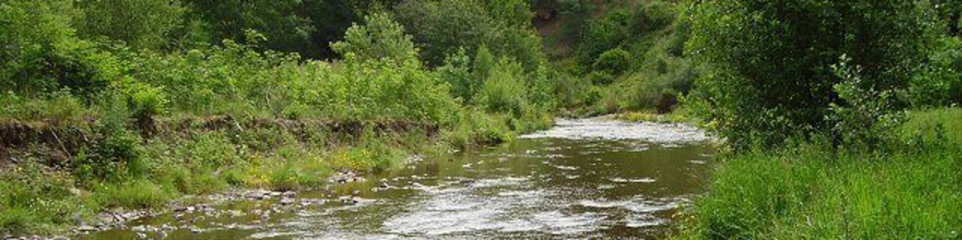 Heriot Water The river with a landslip on the bank. The map shows a path here, but it has been swept away.