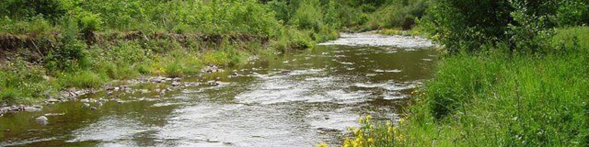 Heriot Water The river with a landslip on the bank. The map shows a path here, but it has been swept away.