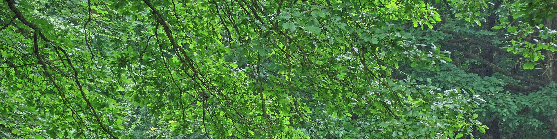 between Brighouse and Elland