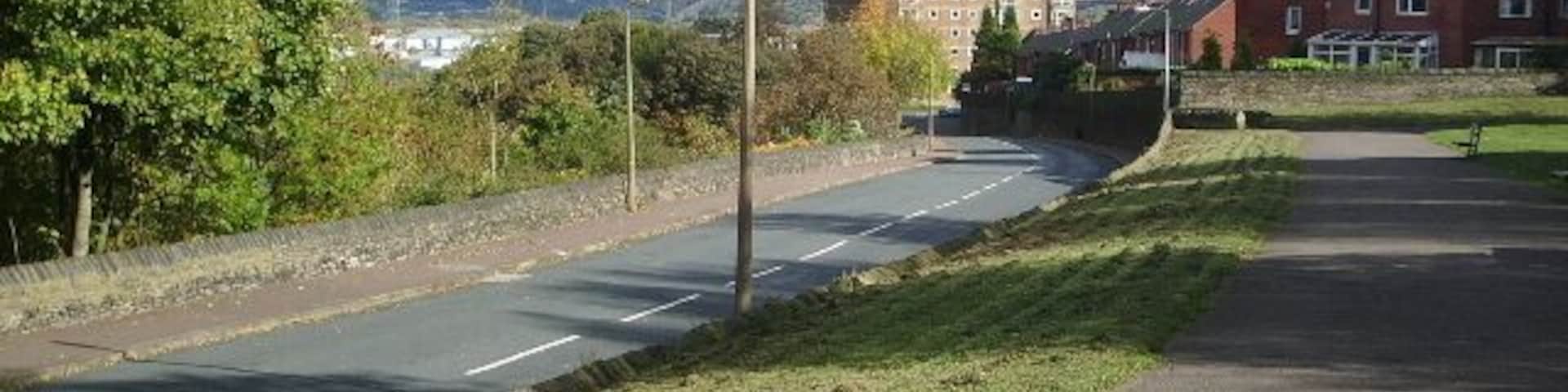 Una calle con aceras, árboles y edificios al fondo.