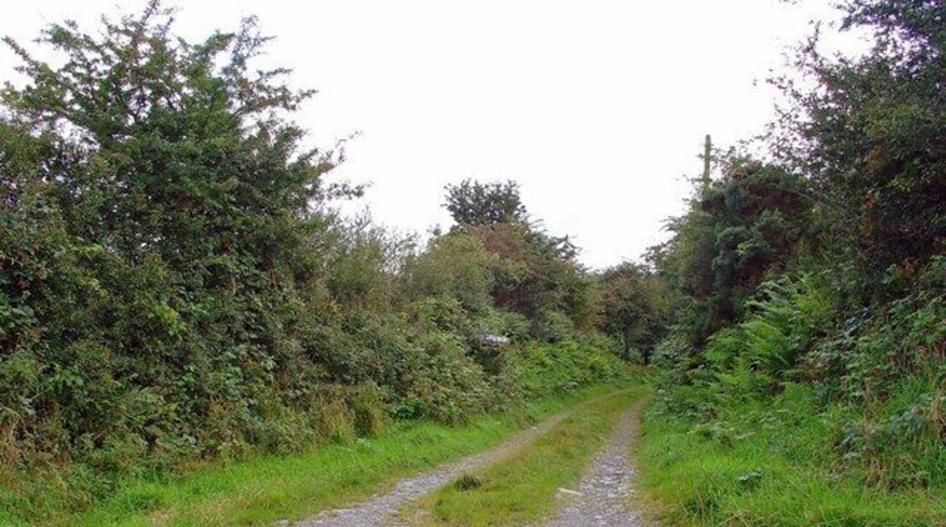 Track to Pen-lan-fâch, Llanfyrnach