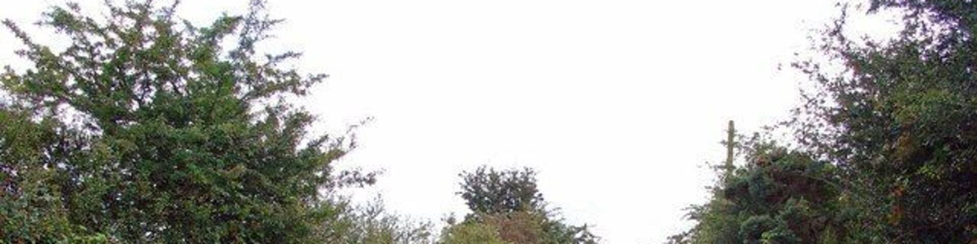 Track to Pen-lan-fĂąch, Llanfyrnach