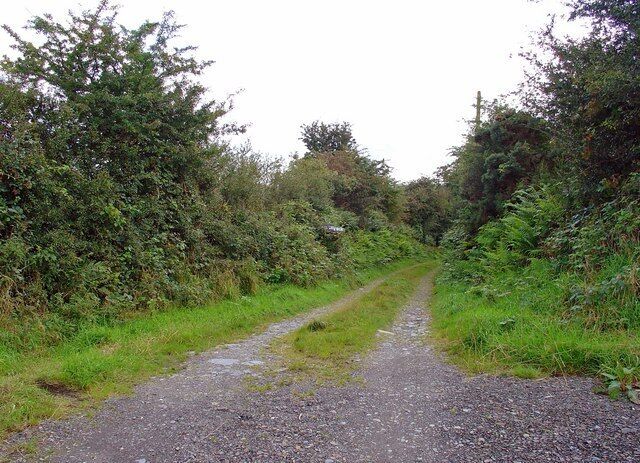 A narrow gravel path surrounded by dense greenery and trees.