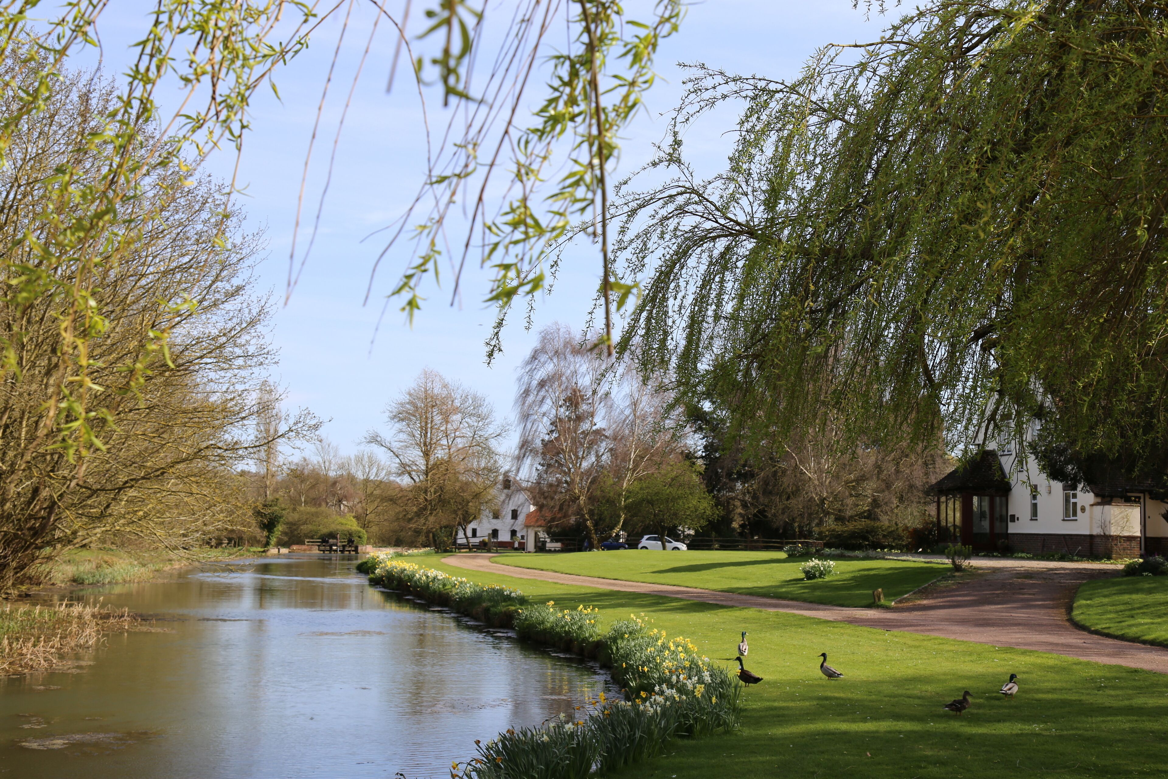 A millpond below the bridge on Willingale Road over the River Roding at Fyfield, Essex, England