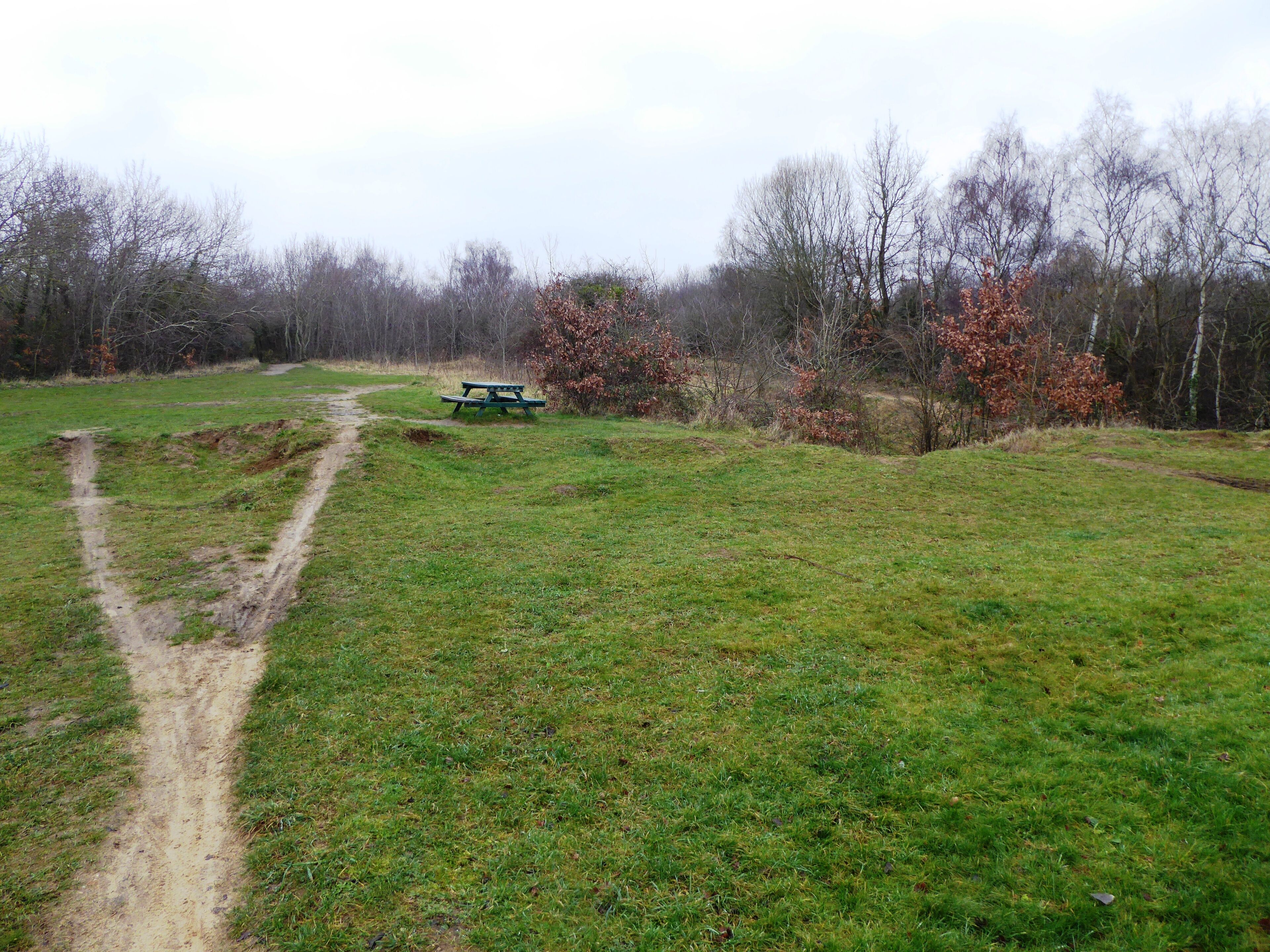 Swanscombe Skull Site is a Site of Special Scientific Interest and National Nature Reserve in Swanscombe in Kent. It is one of only two sites in Britain to have yielded Lower Paleolithic human bones.
