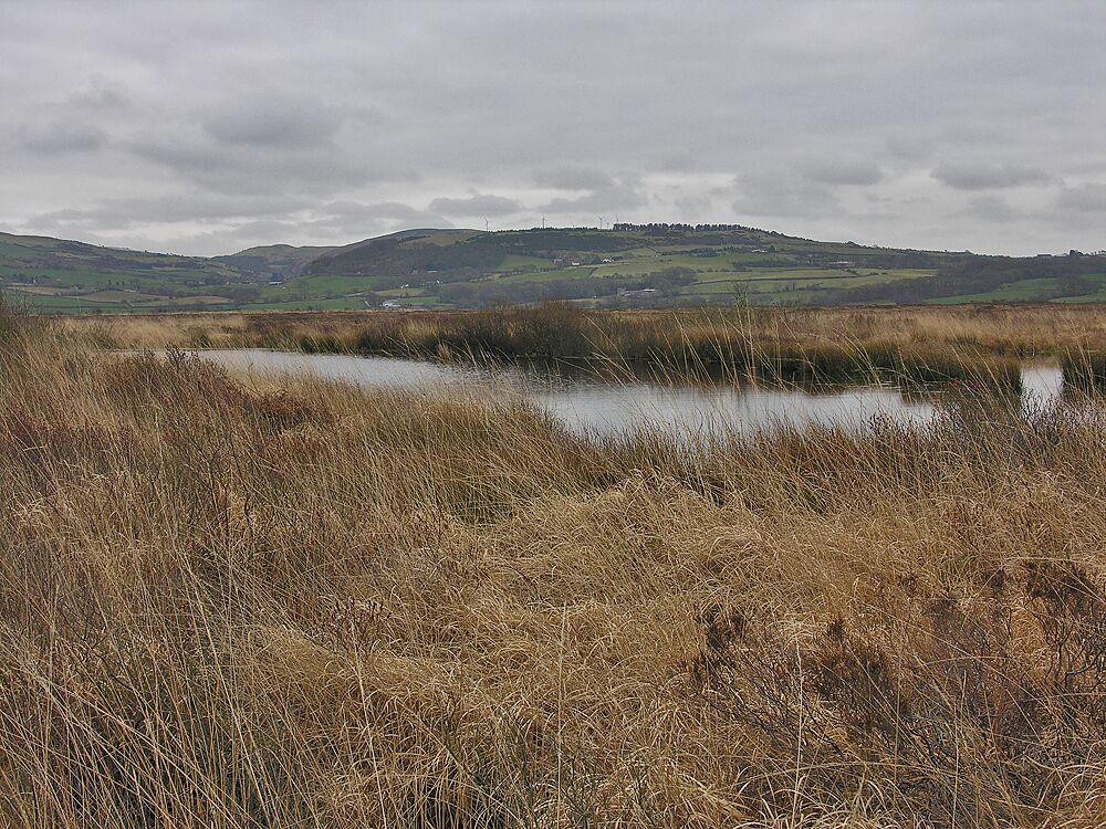 Cors Fochno Looking across the heart of the bog in the direction of Staylittle, with an old peat cutting in the foreground.