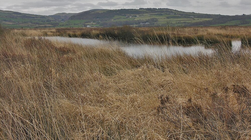 Cors Fochno Looking across the heart of the bog in the direction of Staylittle, with an old peat cutting in the foreground.