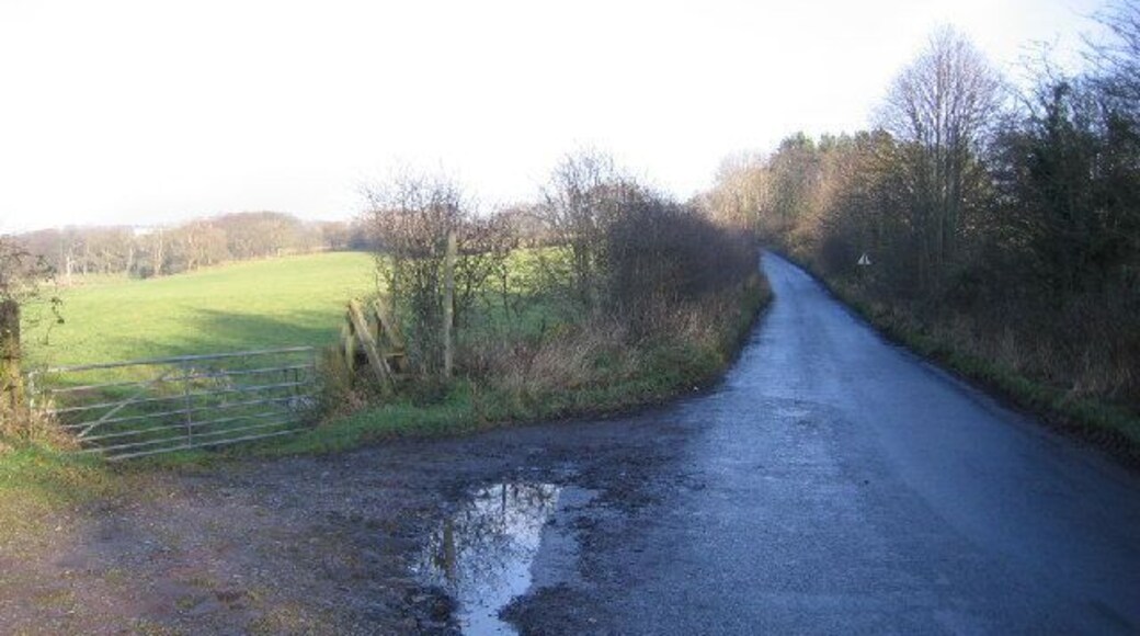 Footpath Steps and a gate. The steps or stile are there for people so that they do not leave the gate open and accidentally let the animals out.