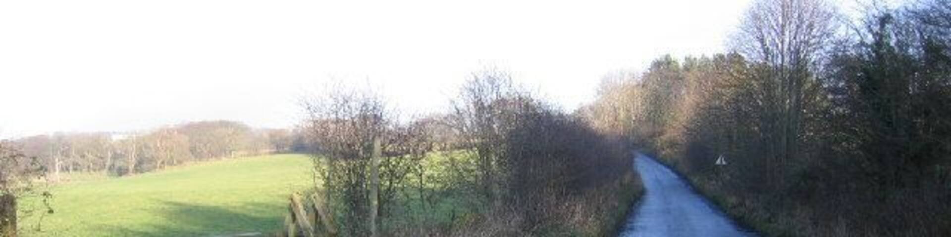 Footpath Steps and a gate. The steps or stile are there for people so that they do not leave the gate open and accidentally let the animals out.