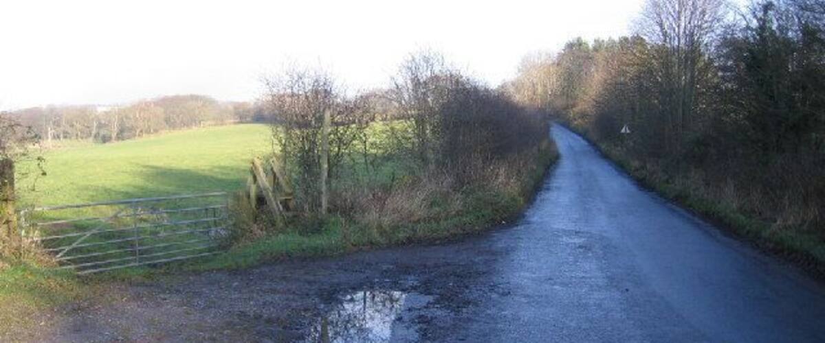 A rural road with a puddle, a metal gate, and trees.