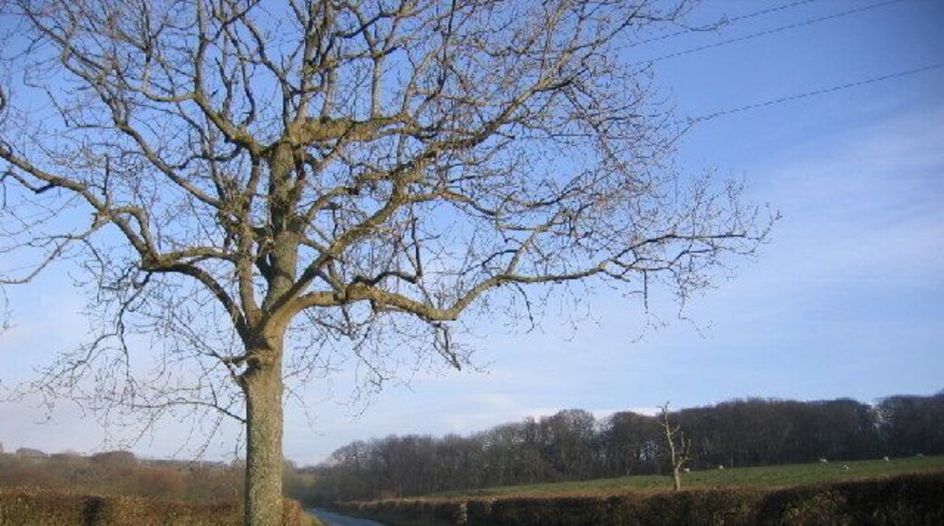 Lone tree road. Can you identify the power lines on your maps.