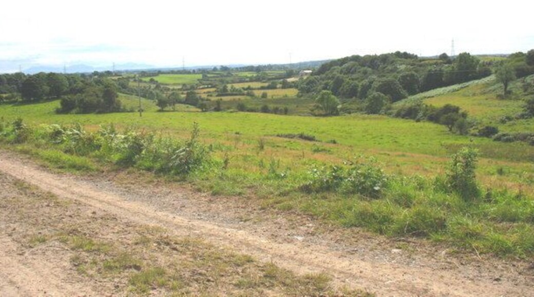 Wooded valley above the B5110