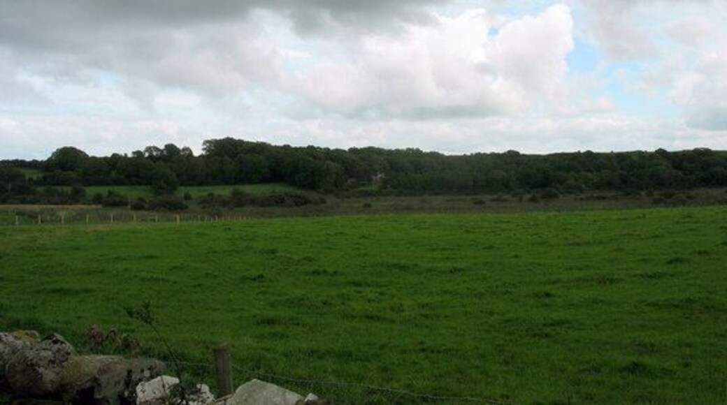 The southern, detached, section of the Cors Erddreiniog fen www.angleseynature.co.uk/webmaps/corserddreiniog.html