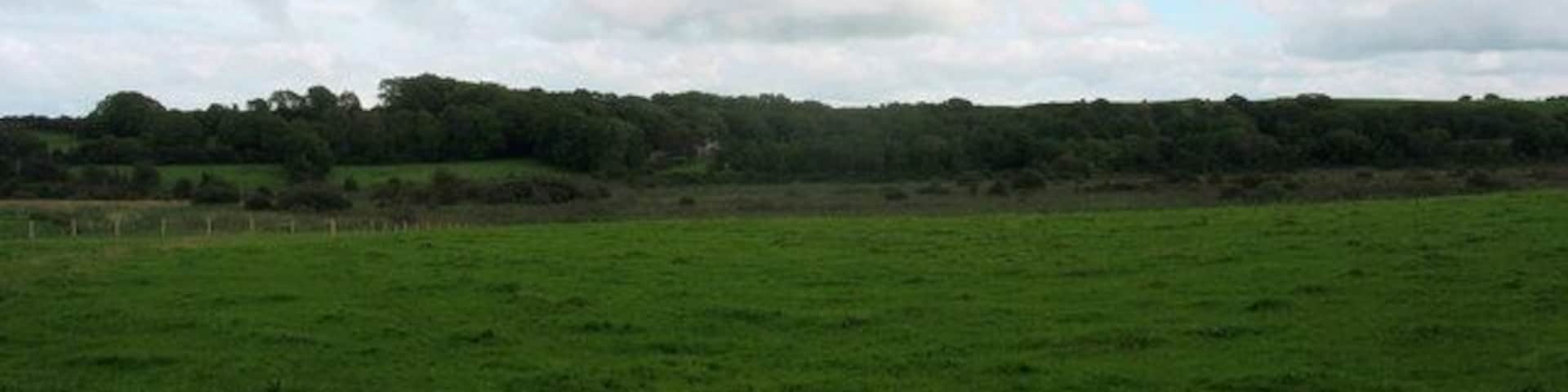 The southern, detached, section of the Cors Erddreiniog fen www.angleseynature.co.uk/webmaps/corserddreiniog.html