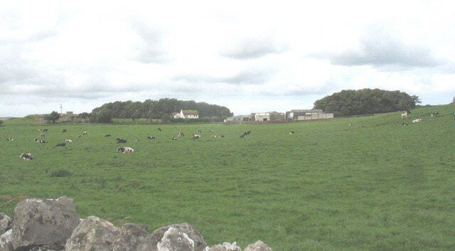 Frigan Farm The name of this pastoral farm is pronounced thus:- Vrigan.