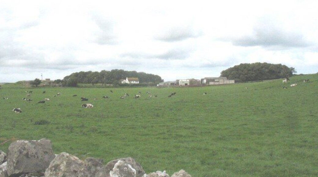 Frigan Farm The name of this pastoral farm is pronounced thus:- Vrigan.