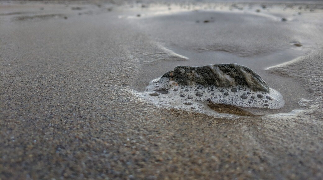 Pixel 2 x Lightroom Mobile đ·
.
.
#pixel2 #shotonpixel2 #teampixel #lightroommobile #cablebay #aberffraw #anglesey #ynysmon #northwales #visitwales #visitcymru #beach #sand #waves #welshphotographer #tide #moodysky #shore #coastline #angleseycoastalpath