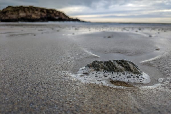 Pixel 2 x Lightroom Mobile đ·
.
.
#pixel2 #shotonpixel2 #teampixel #lightroommobile #cablebay #aberffraw #anglesey #ynysmon #northwales #visitwales #visitcymru #beach #sand #waves #welshphotographer #tide #moodysky #shore #coastline #angleseycoastalpath