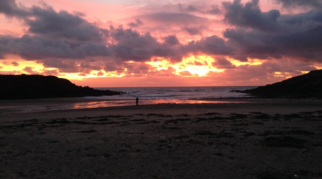 0_1c478d85-98e5-4573-99c0-425848d33673_raw