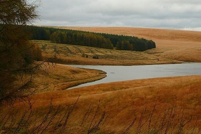 Lluest-wen Reservoir At the head of the reservoir would have been where a number of streams met to form the embryonic Afon Rhondda Fach.