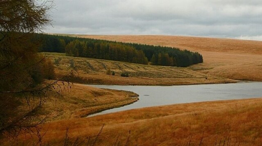 Lluest-wen Reservoir At the head of the reservoir would have been where a number of streams met to form the embryonic Afon Rhondda Fach.