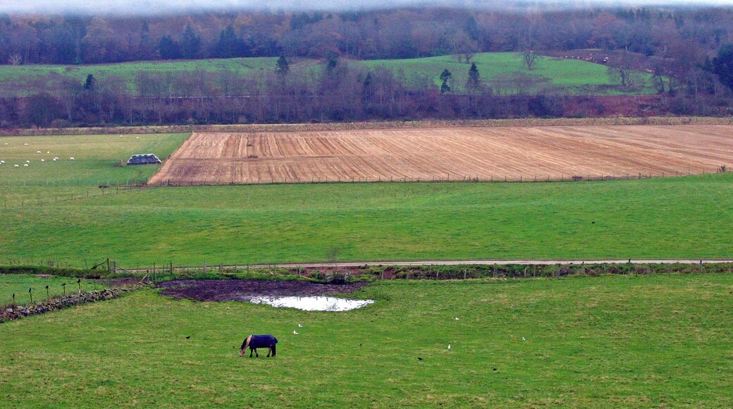 View across the fields to Kingcausie Estate on the south side of the river Dee The proposed Aberdeen peripheral bypass will cut straight through this photo from north to south