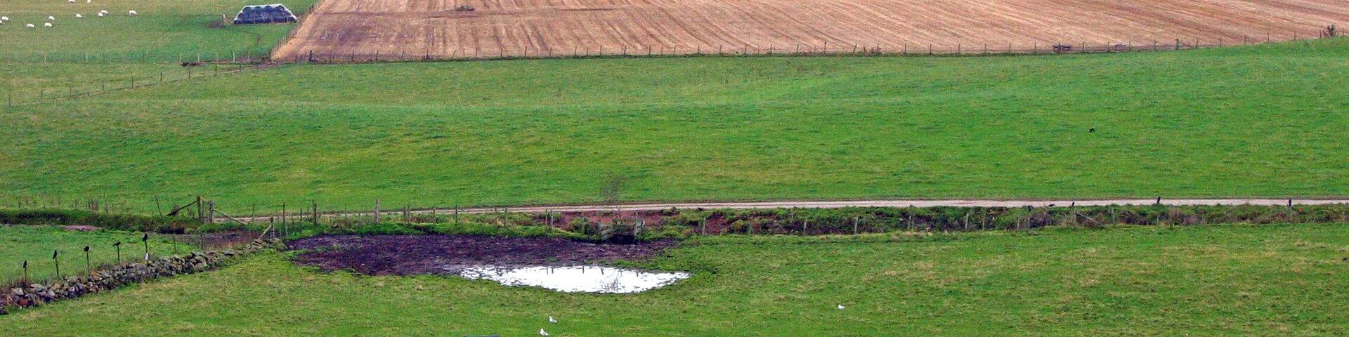 View across the fields to Kingcausie Estate on the south side of the river Dee The proposed Aberdeen peripheral bypass will cut straight through this photo from north to south