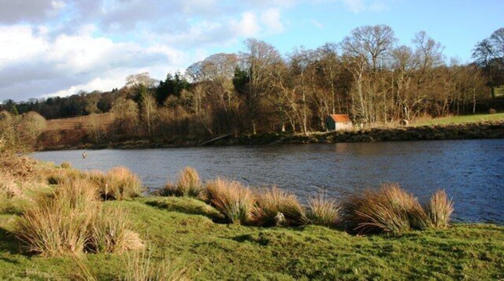 The Dee at Milltimber The River Dee flowing east of the bridge at Milltimber.A popular fishing spot with one angler seen to the left.