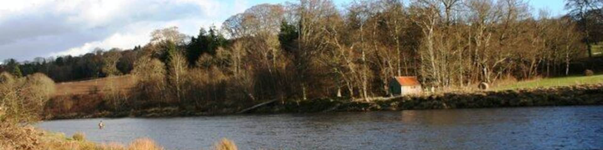 The Dee at Milltimber The River Dee flowing east of the bridge at Milltimber.A popular fishing spot with one angler seen to the left.
